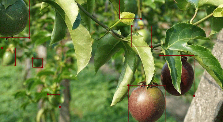 Agriculture annotation